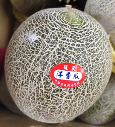 洋香瓜