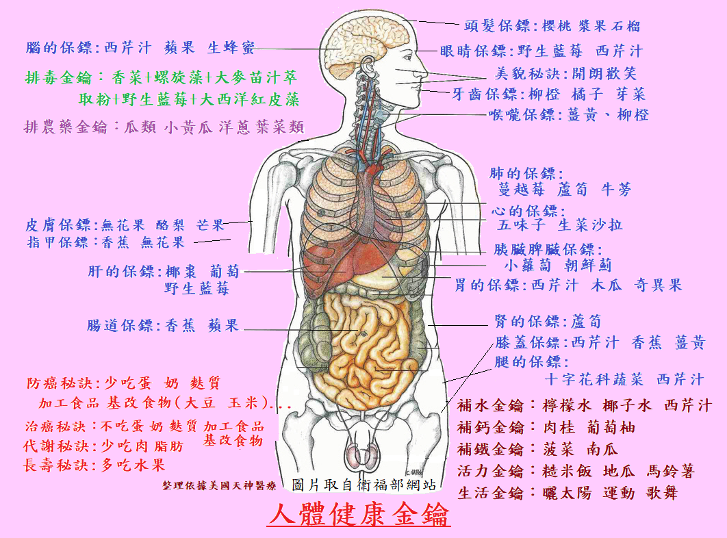 人體健康的奧秘